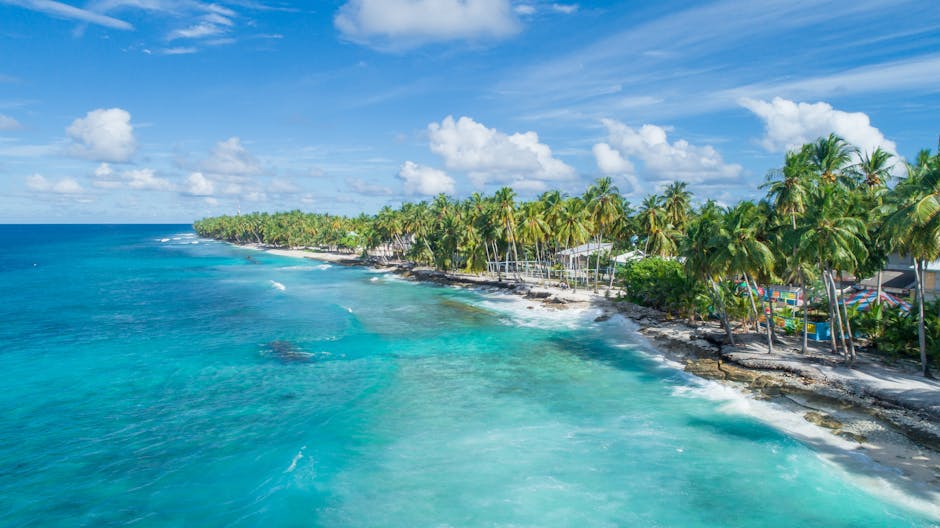 Palm-lined coastline of Maldives